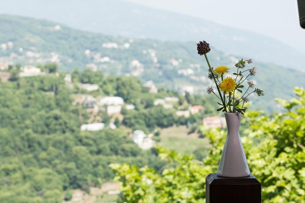 Hotel San Stefano Tsagkarada Oda fotoğraf